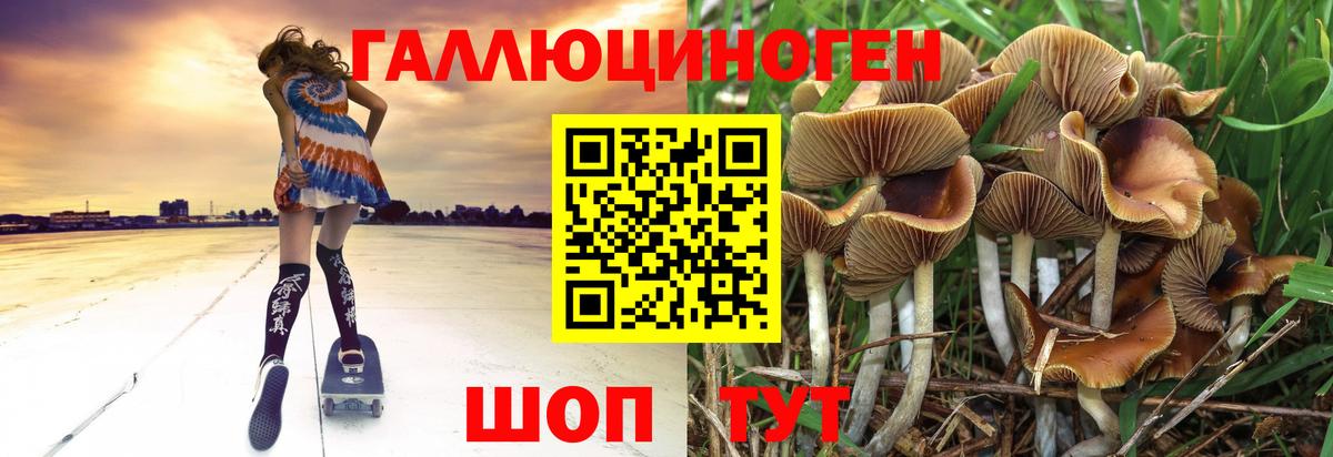 Белореченск  Псилоцибиновые грибы Psilocybine cubensis  Вход с VPN 